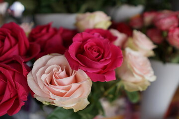 pink roses bouquet