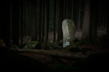 Artistically processed view night photo of ancient menhir hidden in the woods of Javornik mounth, Sumava National Park, Czech Republic. Illuminated by electronic studio flash
