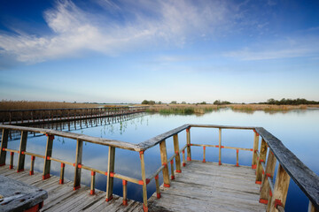 Fototapeta premium pasarelas al amanecer, parque nacional Tablas de Daimiel, Ciudad Real, Castilla-La Mancha, españa, europa