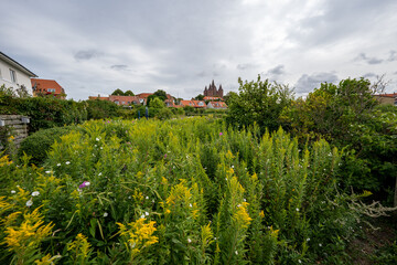 Kalundborg in Dänemark - Hafen und Stadt 