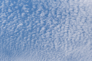 大空に広がる柔らかな雲