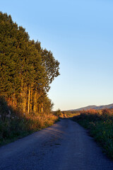 Fototapeta premium Image from the former Skreiabanen Railroad at Toten, Norway, a summer evening in August.