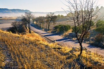 Obraz premium Carretera local