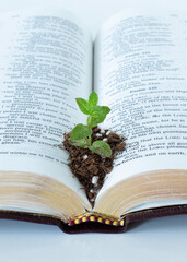 Green plant growing in soil on top of an open Holy Bible Book. Vertical shot. A close-up. Biblical...