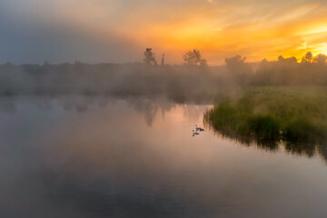Naklejka na ściany i meble Misty morning on the river. Wisła, Poland.