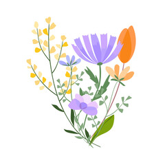 Vector floral bouquet illustration. Set of leaves, wildflowers, twigs, floral arrangements. Beautiful compositions of field grass and bright spring flowers.