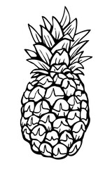 Beautiful pineapple ink drawing, hand drawn and vectorized. Ripe pineapple with leaves, coloring page, uncolored tropical fruit