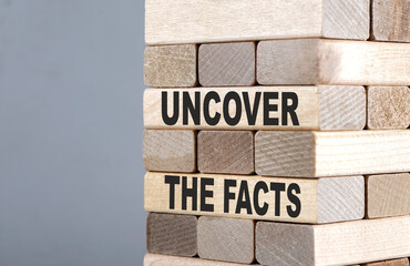 The text on the wooden blocks UNCOVER THE FACTS