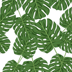 Seamless bright pattern of monstera leaves on a white background.Vector natural pattern can be used in textiles,packaging,notebook covers, pastel linen, postcards.