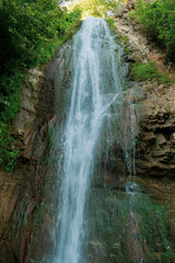 Fototapeta premium waterfall in the forest