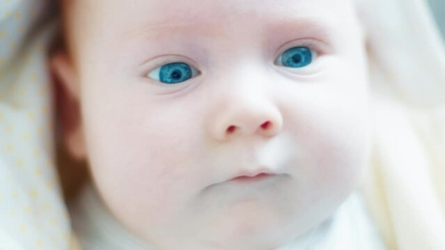Portrait of the infant baby with blue eyes looking into the camera