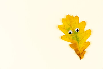 Autumn fallen yellow wooden leave with funny face on white background. Abstract image of bright forest leave. Holiday card template. Creative season Halloween autumn festival concept. Fall scene.