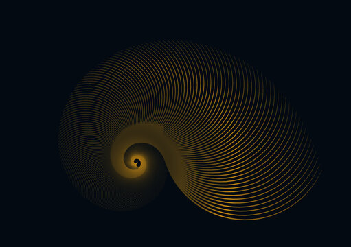 graphic swirling shell in dark gold shades