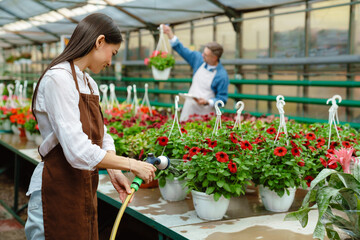 White woman and man wearing aprons working with plants in greenhouse