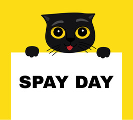 Spay Day illustration. Funny Cats . Cartoon vector drawing.