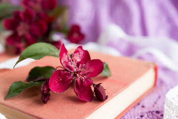 Pink book with red small flowers on a lilac openwork background close-up