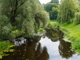 Fototapeta na wymiar picturesque place by a small river with green trees above the water
