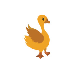 Goose. Pets. Vector illustration isolated on white background.