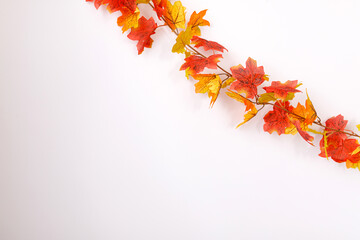 Naklejka na ściany i meble Thanksgiving background. Autumn or fall season.