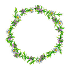 round frame of watercolor thyme flowers on a white background.