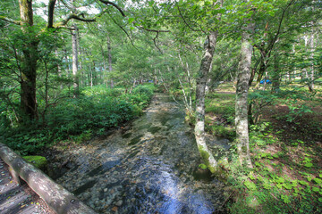 Japan Alps Kamikochi, August 2022