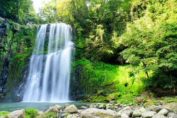 Naklejka premium 夏の桜滝 大分県日田市 Sakuradaki Falls in summer. Ooita-ken Hita city.