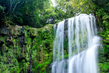 Fototapeta na wymiar 夏の桜滝　大分県日田市　Sakuradaki Falls in summer. Ooita-ken Hita city.