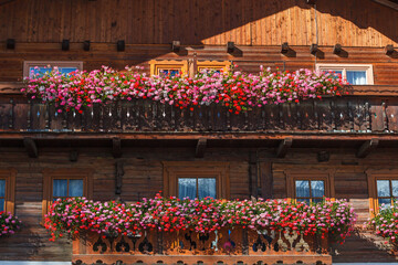 Flowering balconies on a hose in the alps