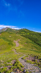 Fototapeta na wymiar 扇子森から鳥海山への登山道　縦構図