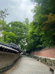 a day of walking on a stony road full of trees