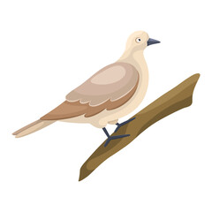 Flat style cartoon wild dove sitting on a branch. Simple clipart for product design, print for clothes, stickers. Icon with a city bird. Drawing for educational board games for children. Common bird.