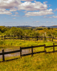 Fototapeta premium Meadow landscape scene