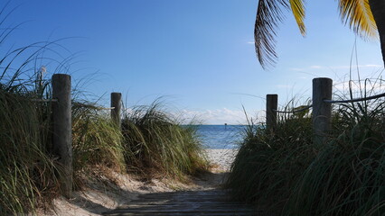 Sandy strand access between beach grass