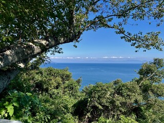 木々に囲まれた瀬戸内海