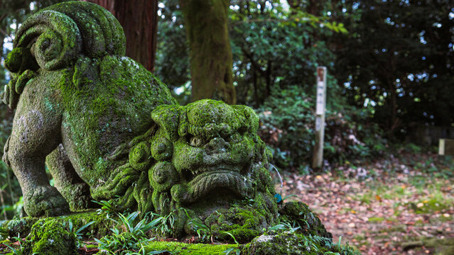komainu