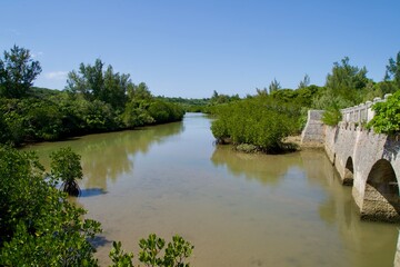 Shimajiri Irie Bridge and a calm river with mangrove forests