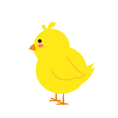 small baby bird emergence from egg, cracked shell in laying hens nest,Chicken hatching stages. Newborn little cute chick,Easter chicks concept.