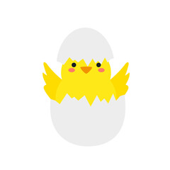 small baby bird emergence from egg, cracked shell in laying hens nest,Chicken hatching stages. Newborn little cute chick,Easter chicks concept.