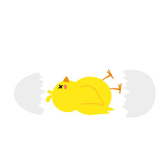 small baby bird emergence from egg, cracked shell in laying hens nest,Chicken hatching stages. Newborn little cute chick,Easter chicks concept.