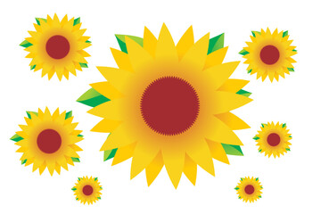 Yellow sunflowers. Illustration of Sunflower Blooming and Beautiful