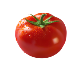 One big tomato with stem isolated on white background. Vegetable in water drops. Fresh fruit from the garden. Farm product. Organic food. Element for sauce, smoothie packaging design. Harvest festival