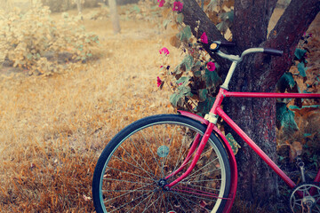 Naklejka premium retro bicycle near tree with beautiful garden flowers over summer or autumn garden