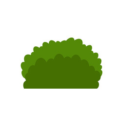 Green tree, A variety of forms on the White Background,Set of various tree sets,Trees for decorating gardens and home designs.vector illustration and icon