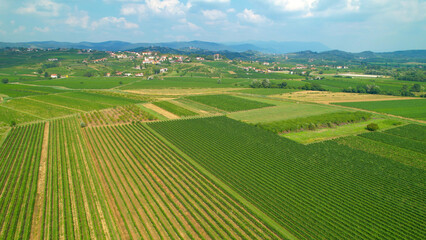 Fototapeta na wymiar AERIAL: Beautiful wine country with vineyards and speckled small villages
