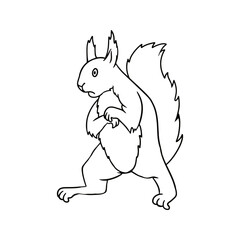 Monochrome picture, fluffy frightened squirrel standing on its hind legs, vector cartoon