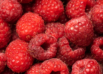 Ripe raspberries. Berries. A handful of raspberries. Scarlet. Raspberry field. Raspberry juice. 