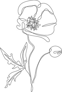 recommend clip art: Poppy flower line art. Minimalist contour continuous drawing. Abstract and simple design