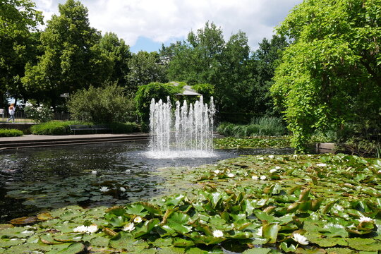 Springbrunnen und Seerosen im Müga-Park in Mülheim an der Ruhr