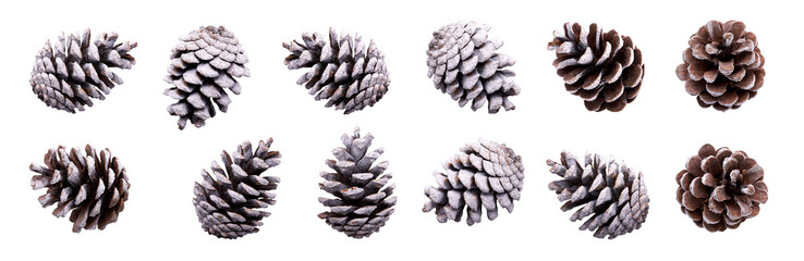 A collection of small pinecones with snow and frost on them for Christmas tree decoration isolated...