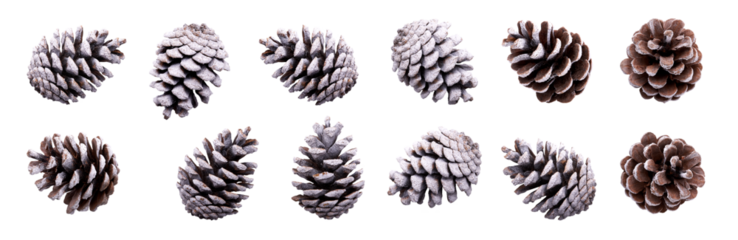 A collection of small pinecones with snow and frost on them for Christmas tree decoration isolated against a transparent background.